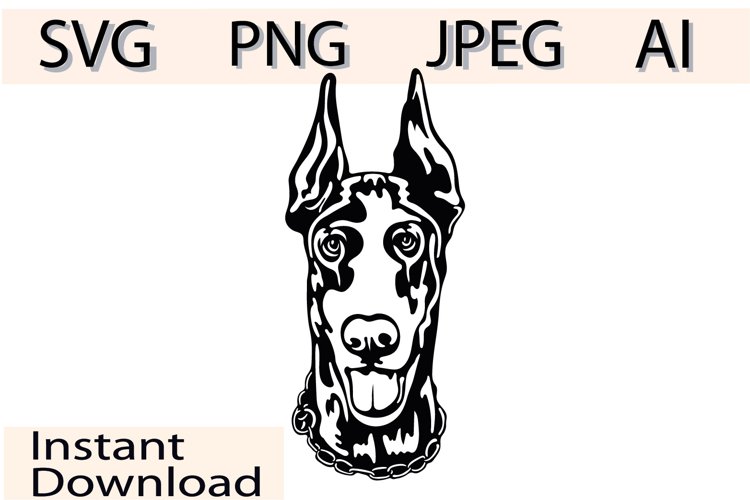 Doberman dog/Dog Svg/Png/Jpg/Ai/Vector purebred breed/Pet