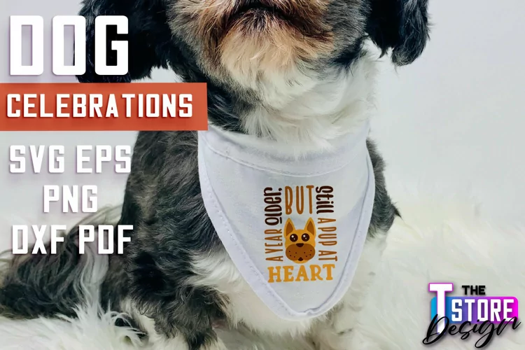 Dog Celebrations SVG Design | Dog SVG Quotes | Dog Design