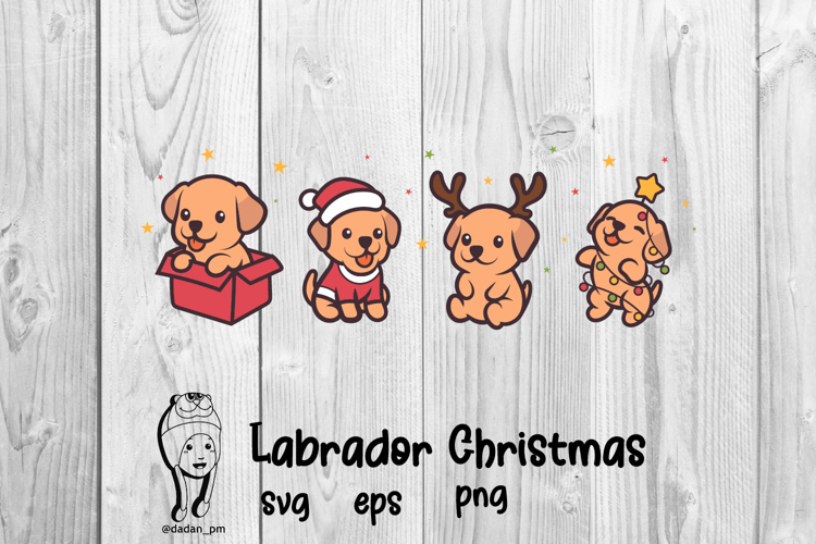 Labrador dog christmas