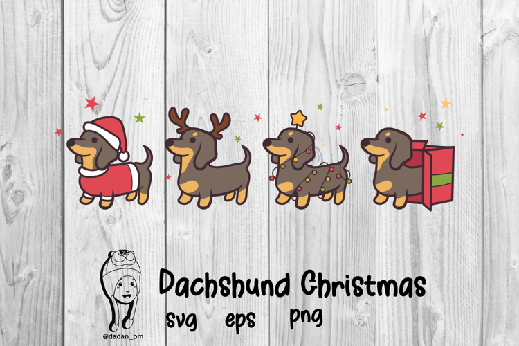Dachshund dog Christmas