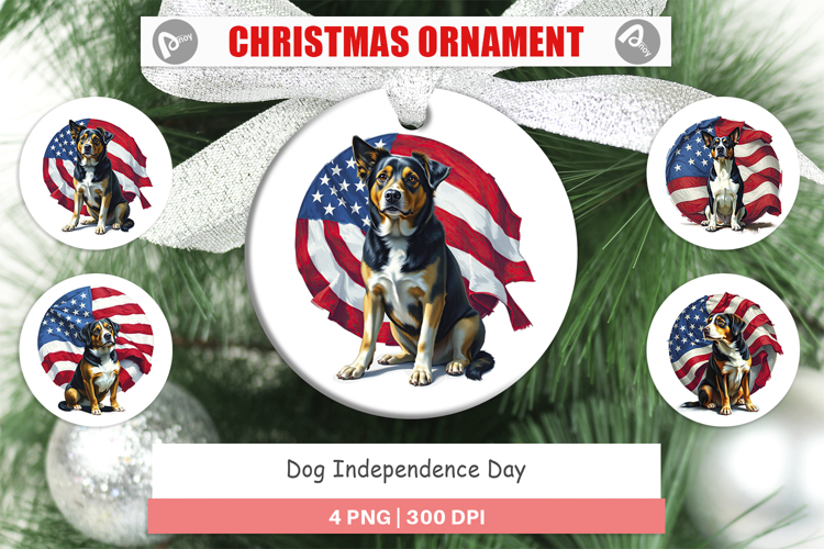 4th Of July Sublimation Design Image 16