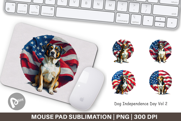 Mouse Png Image 12