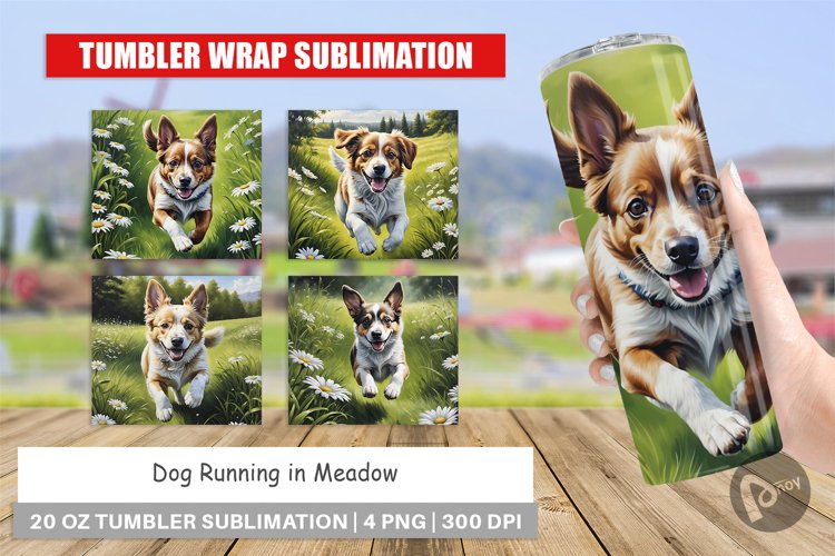 Tumbler Wrap Dog Running in Meadow