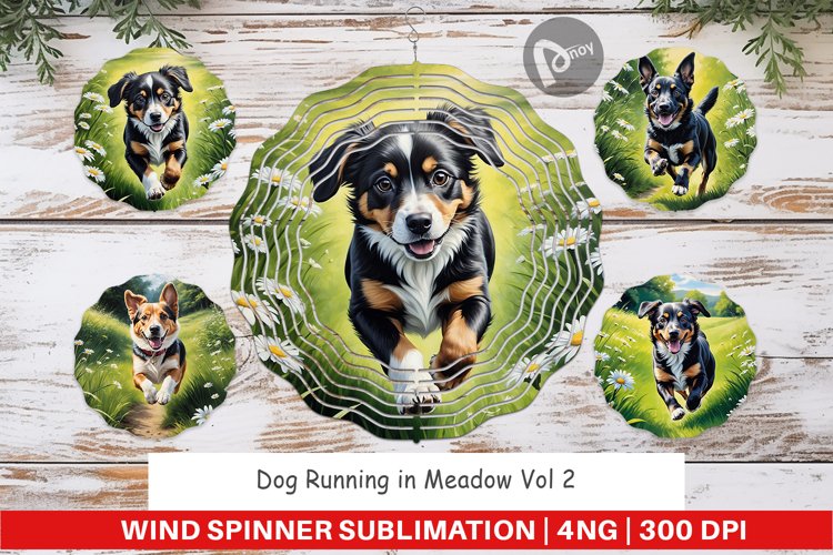 Wind Spinner Dog Running in Meadow