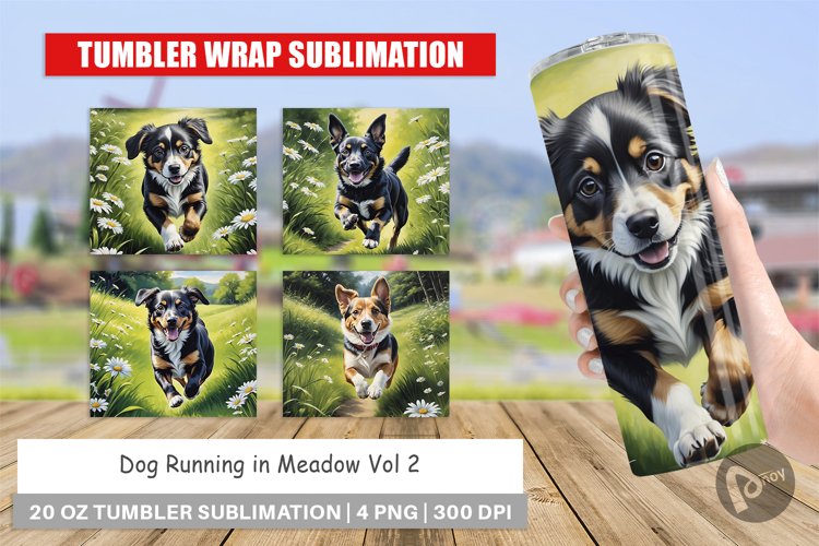 Tumbler Wrap Dog Running in Meadow