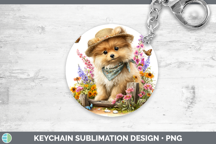 Pomeranian Clipart Image 16