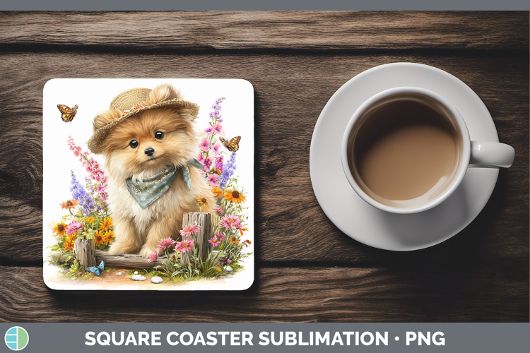 Pomeranian Clipart Image 8