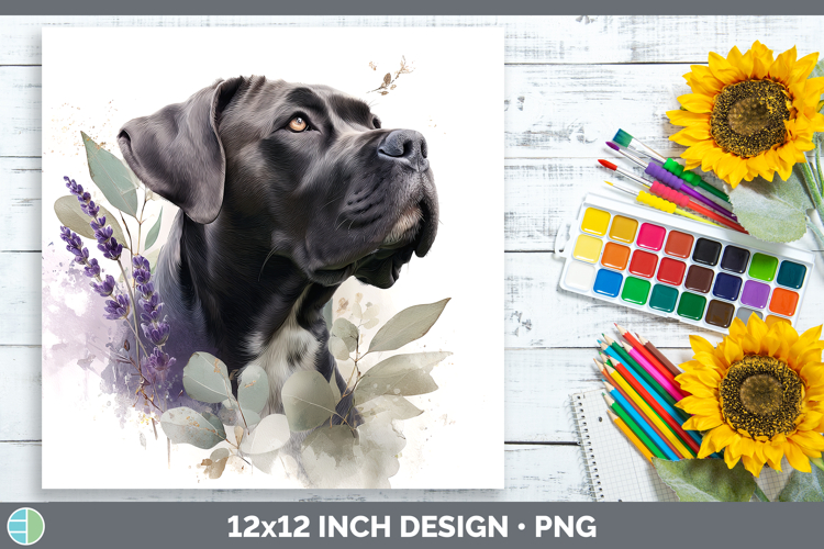 Cane Corso Dogs 01 Lavender and Eucalyptus Paper Backgrounds