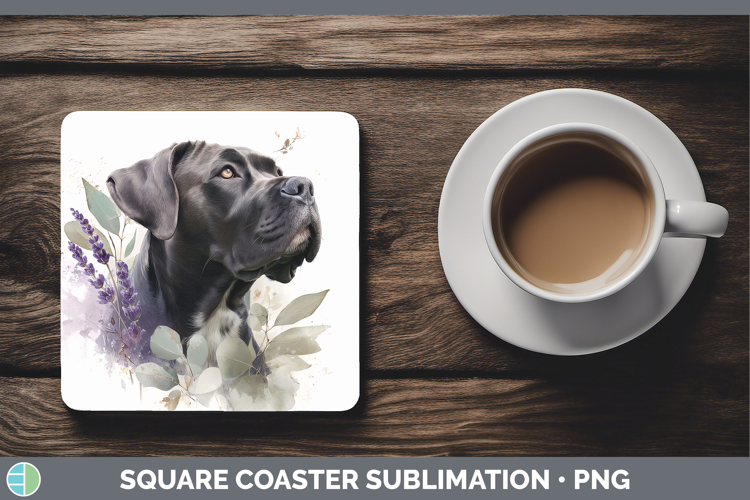 Cane Corso Dogs 01 Lavender and Eucalyptus Square Coaster Su