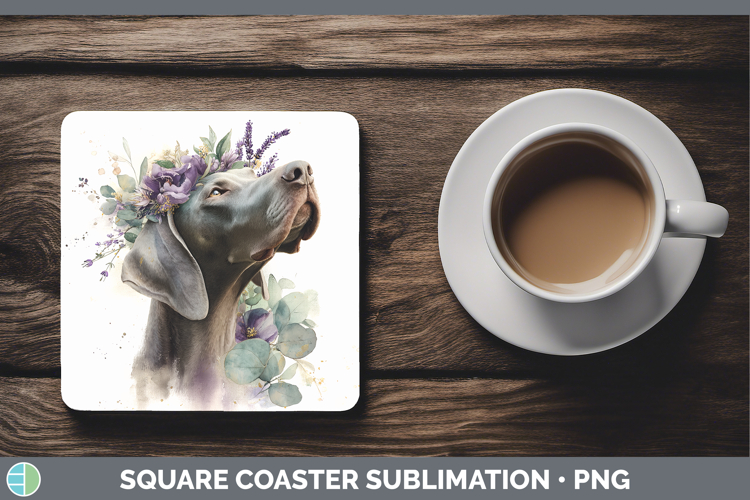 Weimaraner Dogs 01 Lavender and Eucalyptus Square Coaster Su
