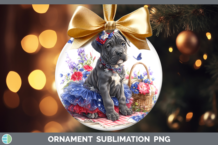 Ornament Clipart Image 13