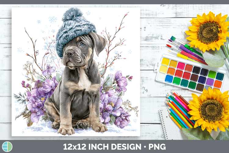 Cane Corso Dogs 01 Winter Knit Hat Paper Backgrounds Design
