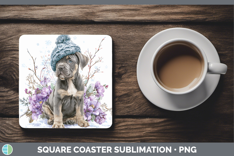 Cane Corso Dogs 01 Winter Knit Hat Square Coaster Sublimatio