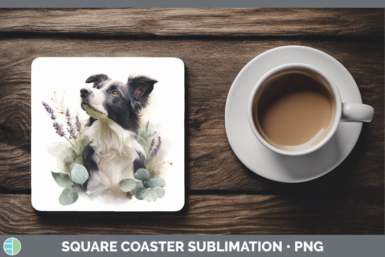 Border Collie Dogs 02 Lavender and Eucalyptus Square Coaster