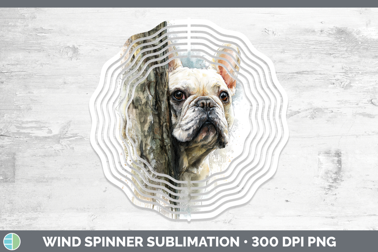 French Design Image 11