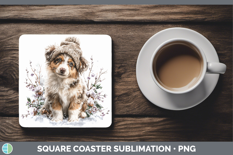 Australian Shepherd Dogs 02 Winter Knit Hat Square Coaster S