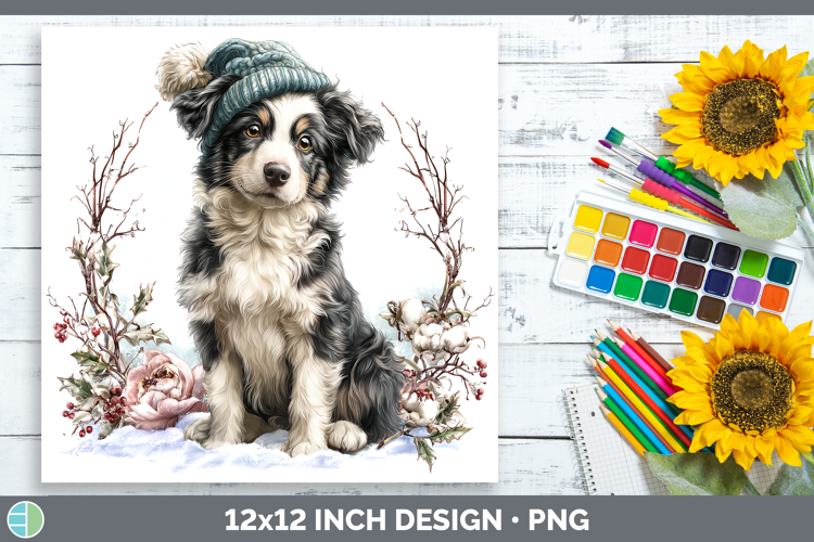 Border Collie Dogs 02 Winter Knit Hat Paper Backgrounds Desi