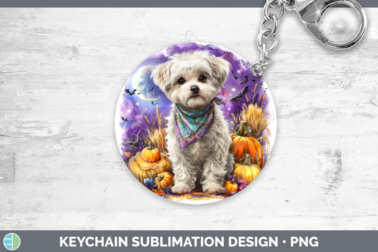 Maltese Clipart Image 24
