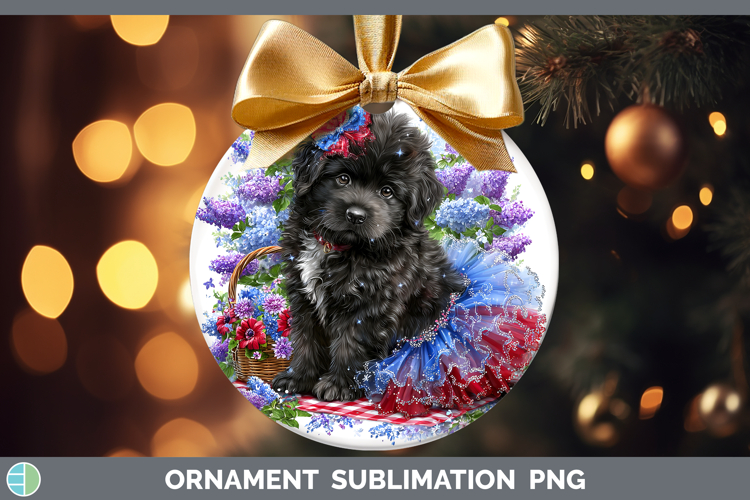 Ornament Clipart Image 24