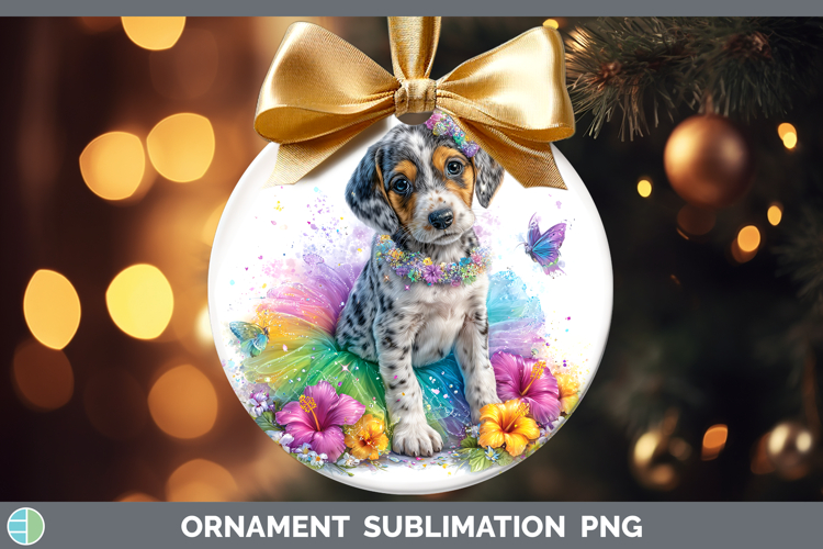 Dogs 03 Rainbow Summer Bluetick Coonhound Ornament Sublimati