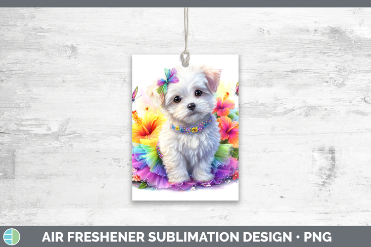 Maltese Clipart Image 24