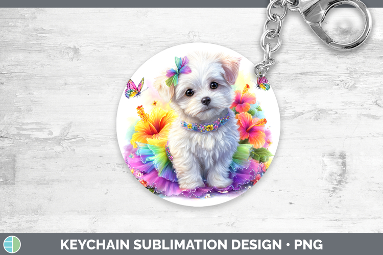 Maltese Clipart Image 22
