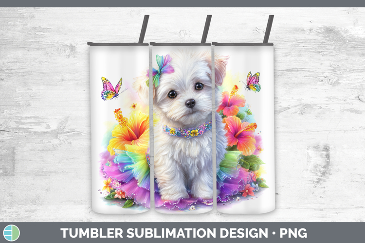 Maltese Clipart Image 13