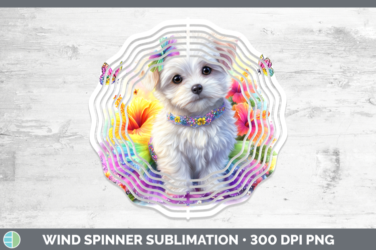 Maltese Clipart Image 12
