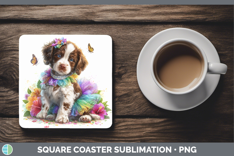 Dogs 04 Rainbow Summer English Springer Spaniel Square Coast