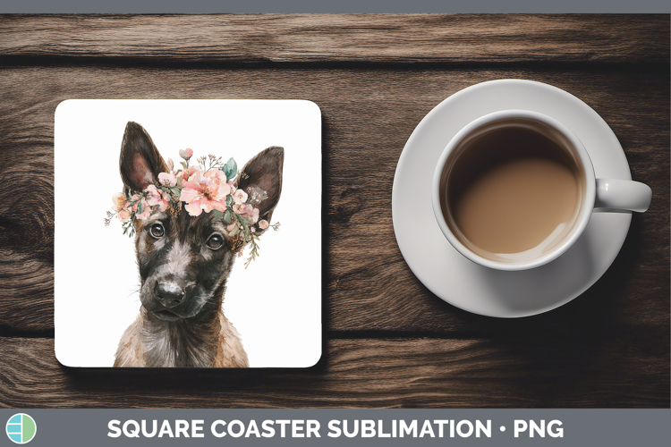 Belgian Malinois Dogs 05 Floral Crown Square Coaster Sublima