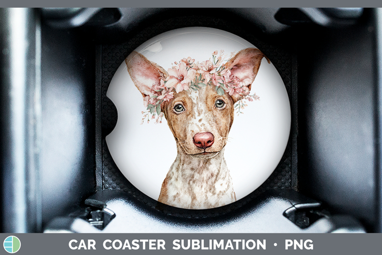 Car Coaster Sublimation Designs Image 5