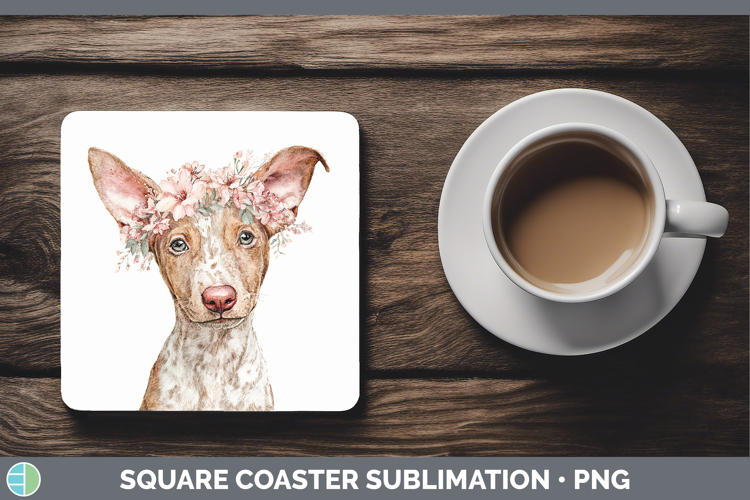 Podenco Canario Dogs 05 Floral Crown Square Coaster Sublimat