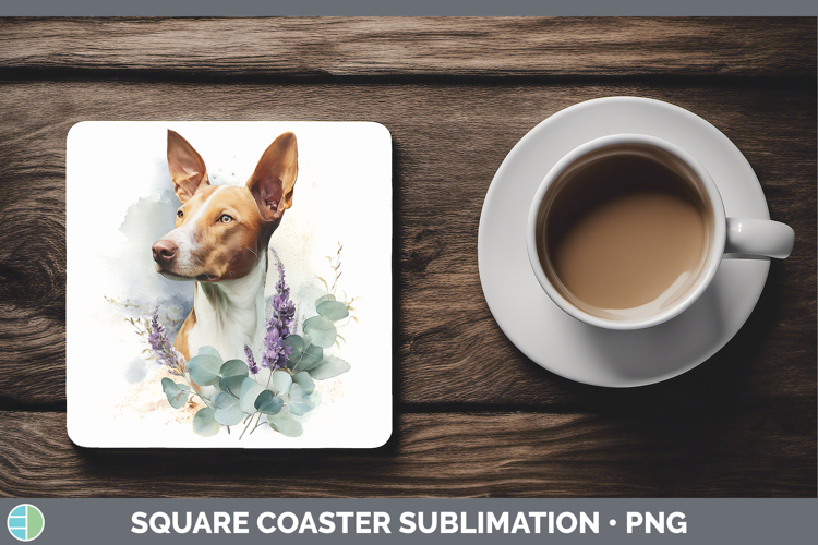 Podenco Canario Dogs 05 Lavender and Eucalyptus Square Coast