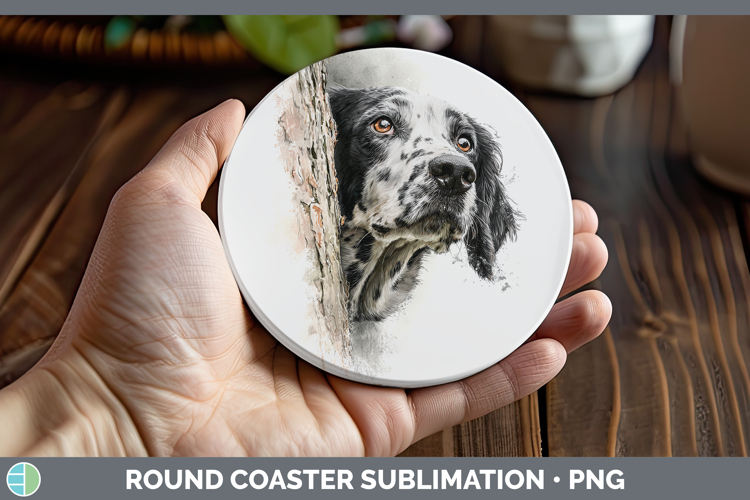 English Setter Black and White Dogs 05 Tree Peek Round Coast