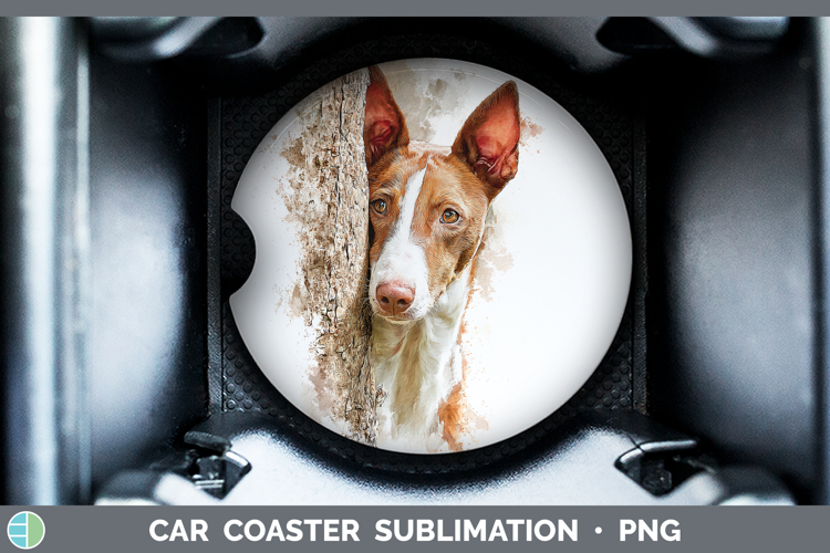 Car Coaster Sublimation Designs Image 24