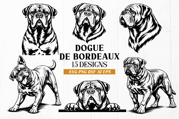 Dogue de Bordeaux SVG Bundle | French Mastiff Dog Portrait