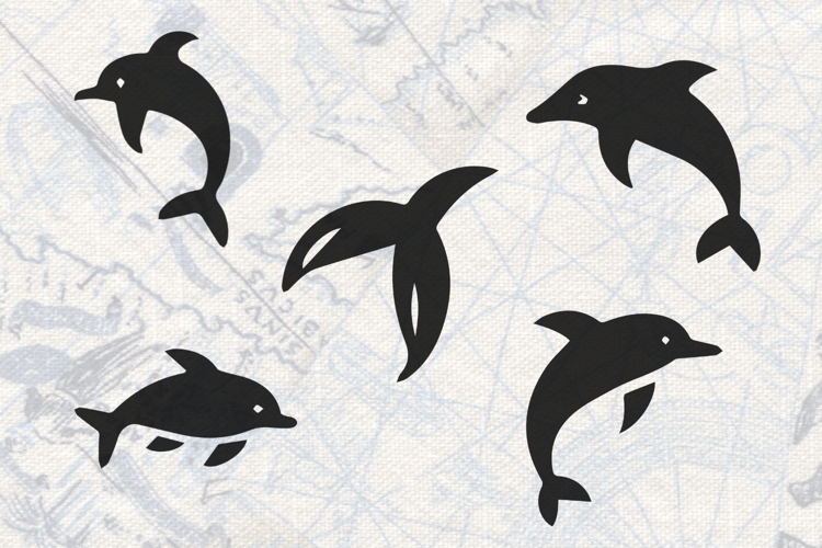 Dolphins and Tail Collection SVG