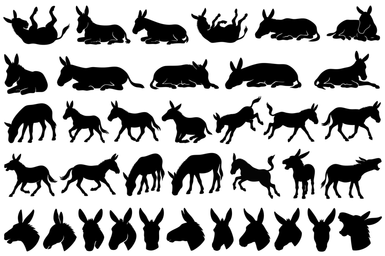 Donkey Clipart Image 2