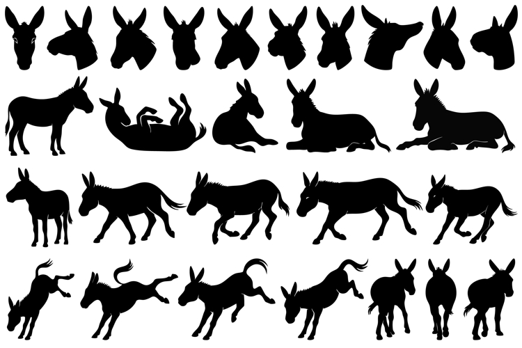 Donkey Clipart