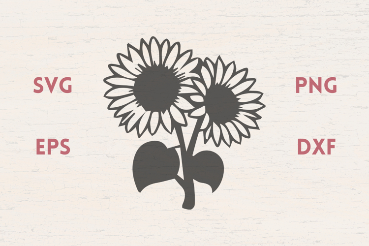 Two Sunflowers stem SVG