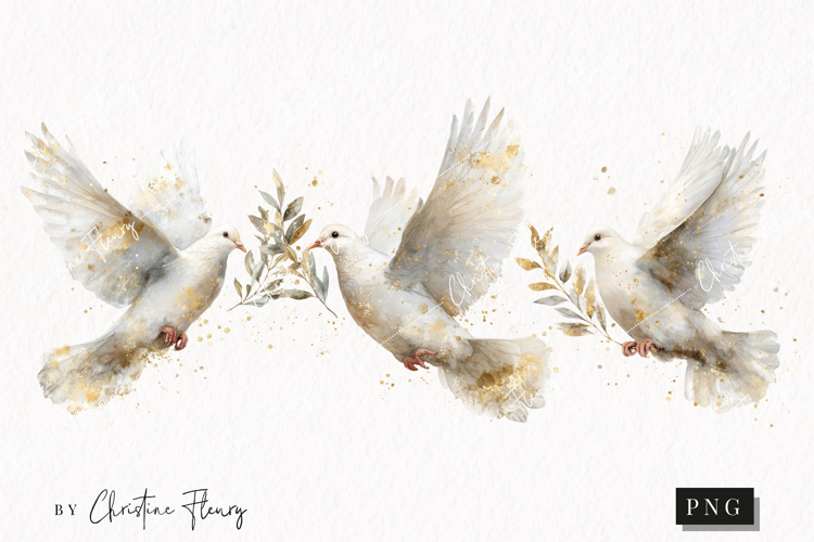 Watercolor White Dove Clipart | Christmas PNG