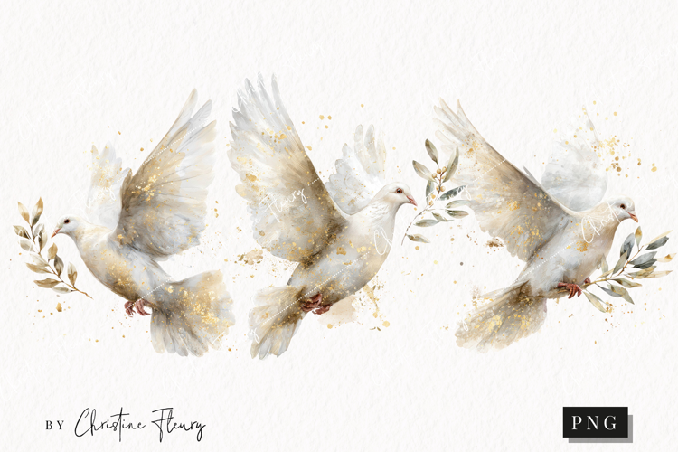 Watercolor White Dove Clipart | Christmas PNG