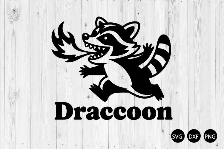 Raccoon Png Image 5