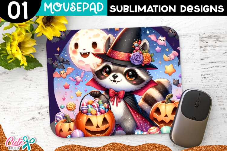 Raccoon Png Image 23