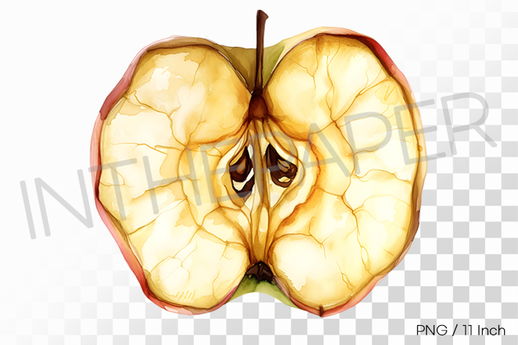 Slice Dehydrated Dried Apple PNG Fruit Clipart Illustration