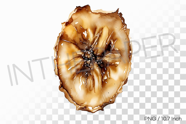 Banana PNGs Image 24