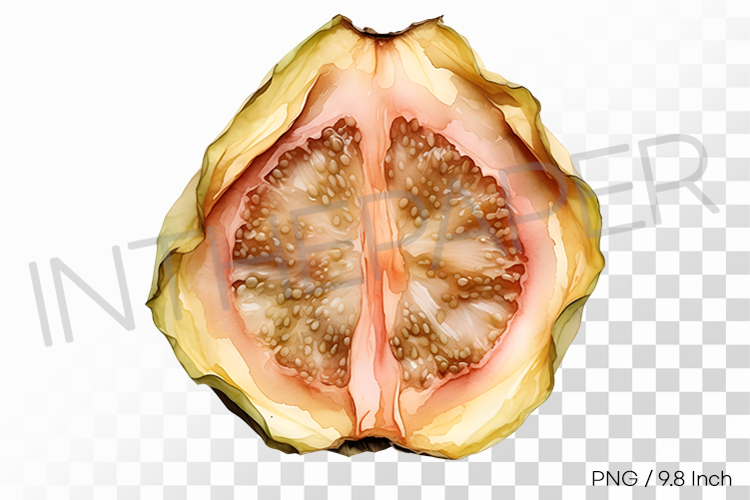 Pink Flesh Dehydrated Dried Guava PNG Fruit Clipart Illust