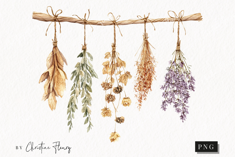 Cozy Halloween Dried Herbs | Halloween PNG