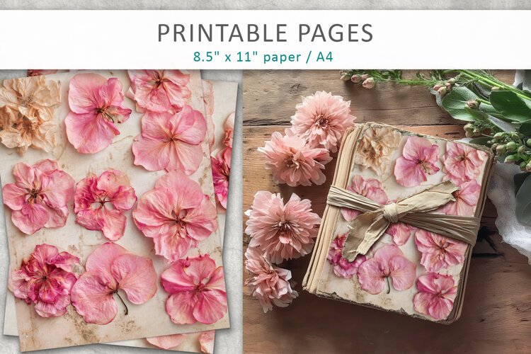 Dried Hydrangea vintage botanical pages example image 1