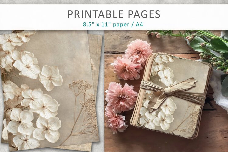 hydrangea flowers vintage pages, nature journal pages example image 1